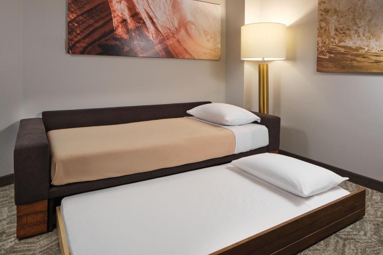 Springhill Suites By Marriott Jacksonville Baymeadows Εξωτερικό φωτογραφία